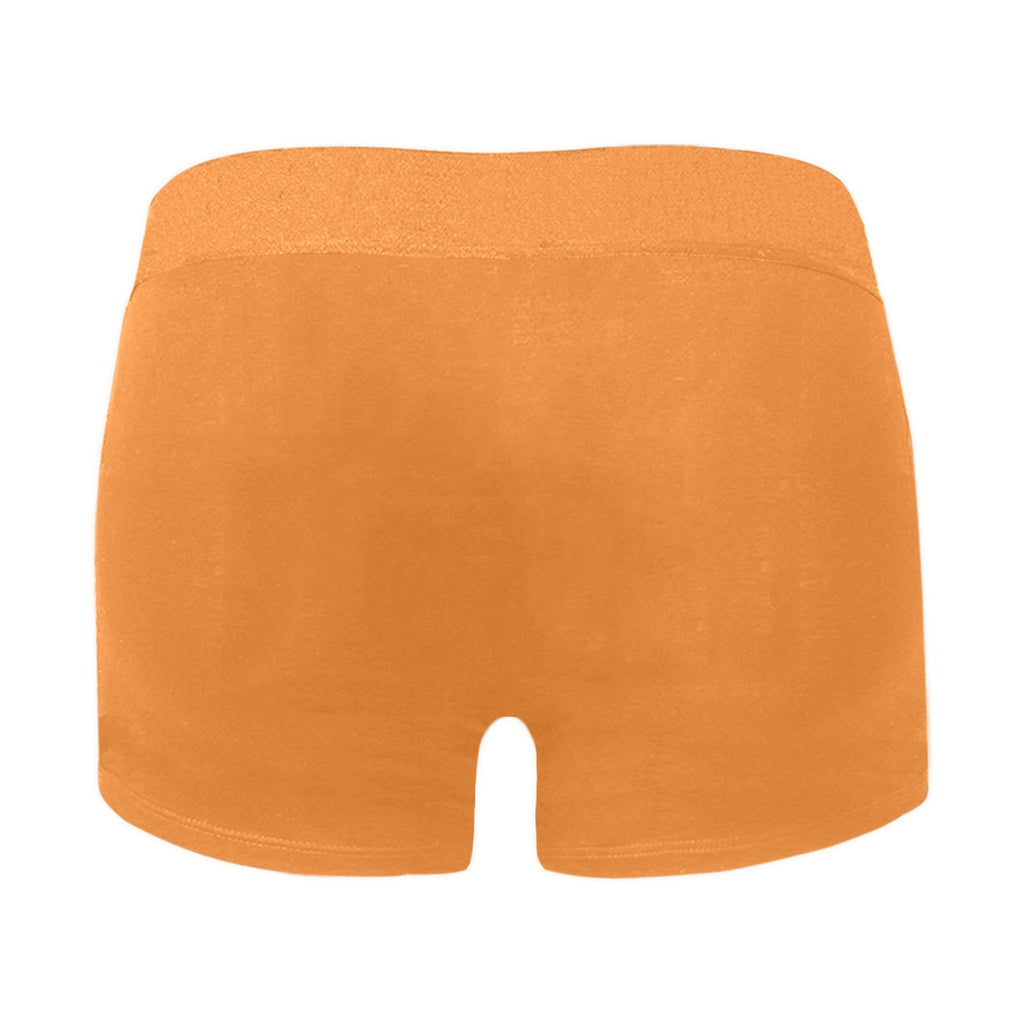 NDO Designs-FSU Football-Florida State-Men's Boxer Briefs with Custom Waistband (L10)