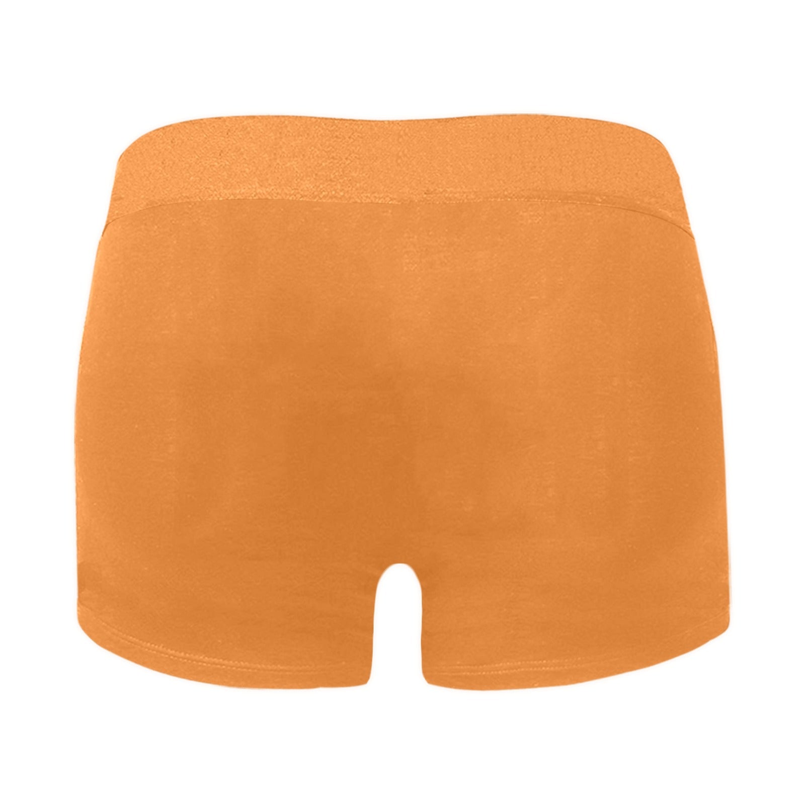 NDO Designs-FSU Football-Florida State-Men's Boxer Briefs with Custom Waistband (L10)