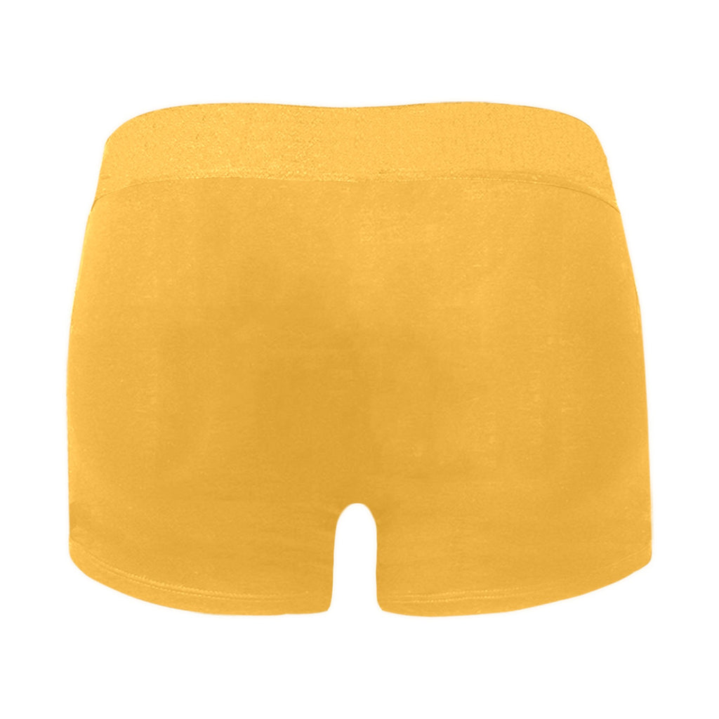 NDO Designs-FSU Football-Florida State-Men's Boxer Briefs with Custom Waistband (L10)