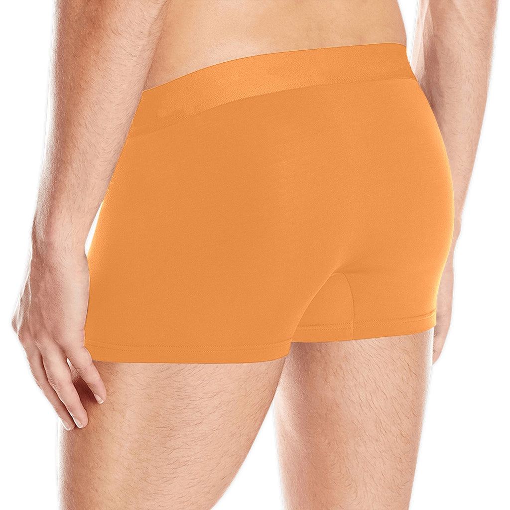 NDO Designs-FSU Football-Florida State-Men's Boxer Briefs with Custom Waistband (L10)