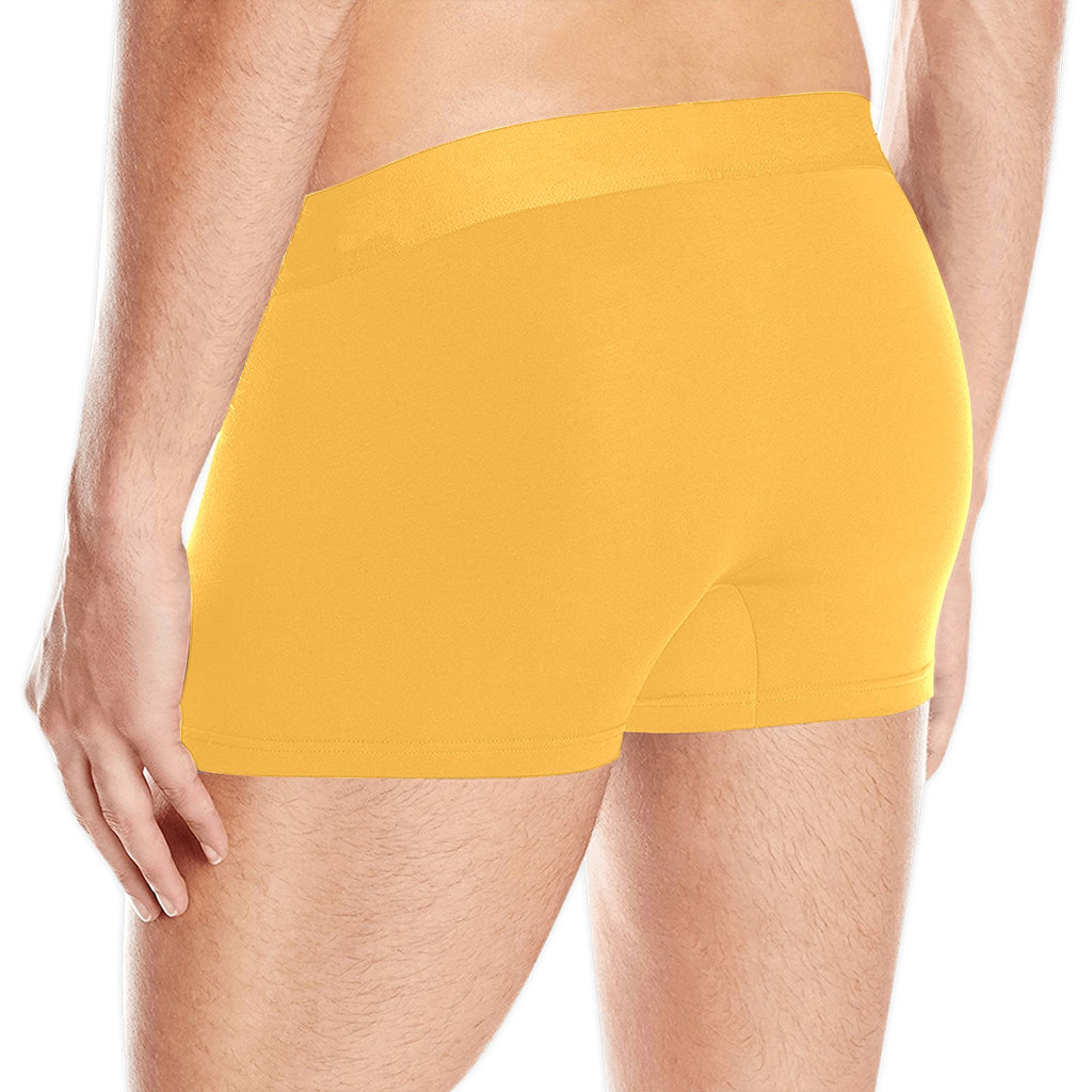 NDO Designs-FSU Football-Florida State-Men's Boxer Briefs with Custom Waistband (L10)